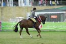 tues11013_603