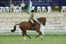 tues11013_605