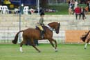 tues11013_606