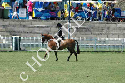 wed21013-a193