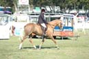 wed21013-a451