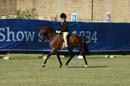 wed21013-a458
