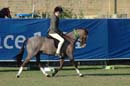 wed21013-a550