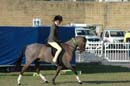 wed21013-a551