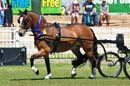 fri31014ama-397