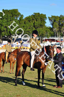 fri31014pma-307