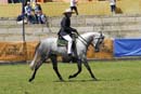 sat41014am-331
