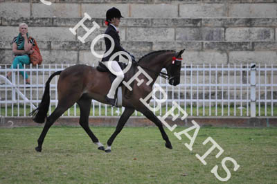 thu21014pma-242