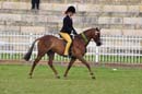 thu21014pma-126