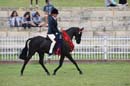 thu21014pma-179
