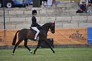 thu21014pma-248