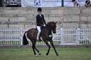 thu21014pma-250
