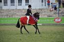 thu21014pma-272