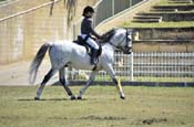 sat30917am-2840