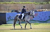 sat30917am-2849